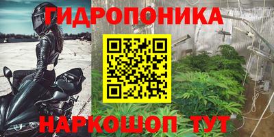 прущие грибы Волжский