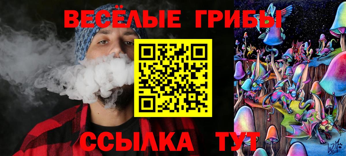 Псилоцибиновые грибы ЛСД Новокубанск