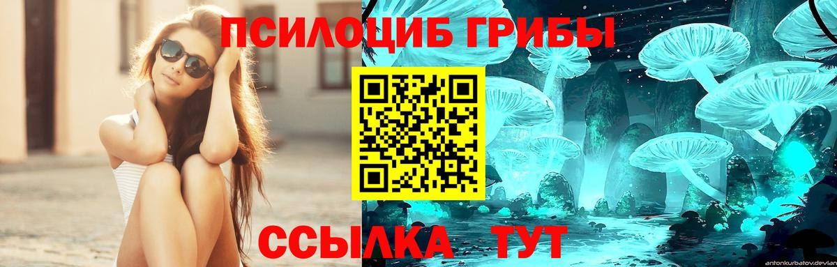 где продают   Псилоцибиновые грибы MAGIC MUSHROOMS  Вход с VPN  Галлюциногенные грибы Psilocybe  Новокубанск 