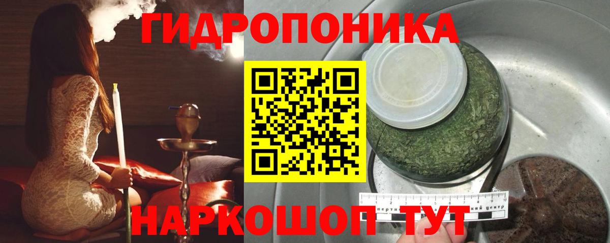 Новокубанск  Канабис тримм  Вход с VPN  Канабис Bruce Banner  Марихуана план 